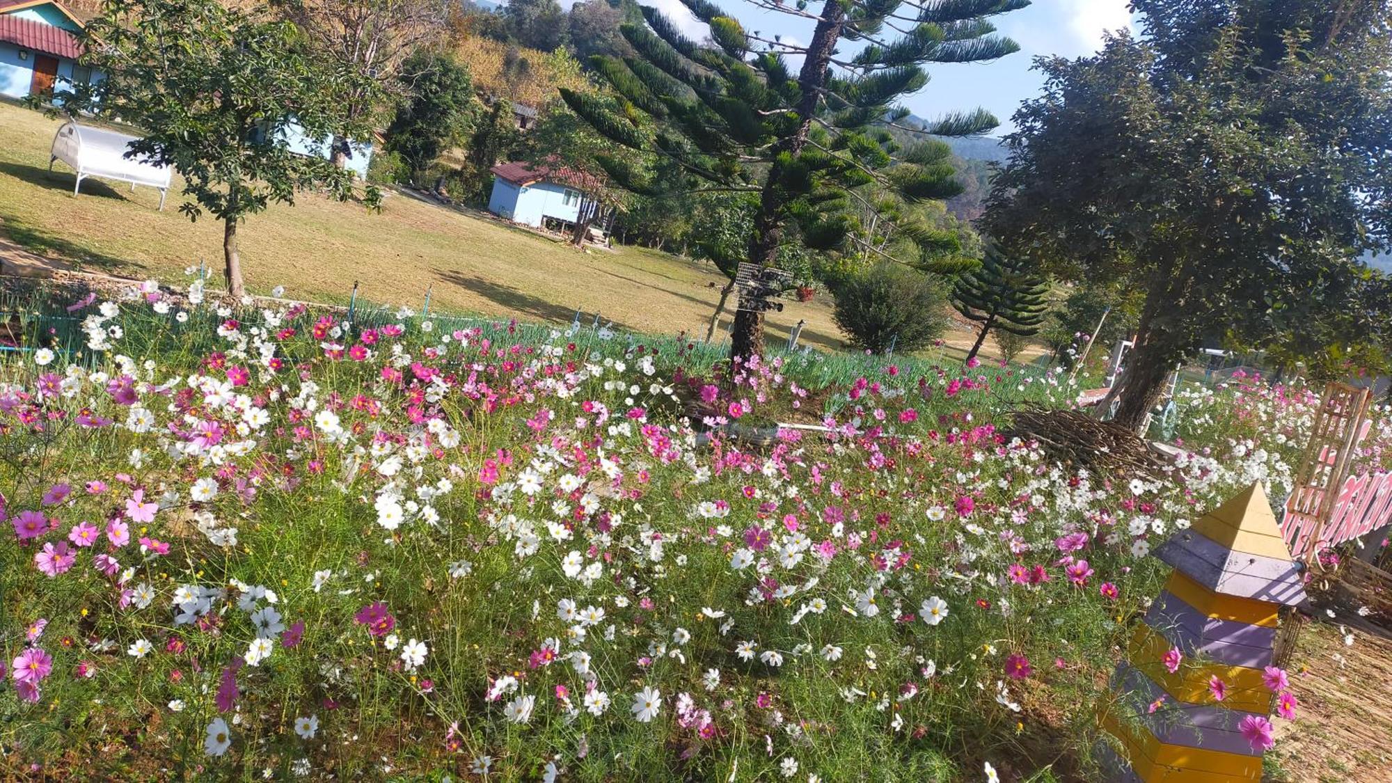 Mong Homestay Resort Pang Ung Exteriér fotografie