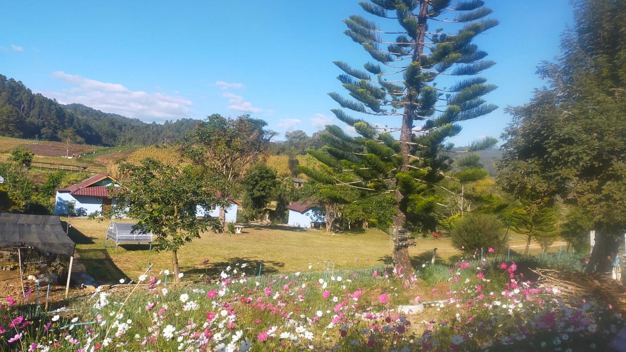 Mong Homestay Resort Pang Ung Exteriér fotografie