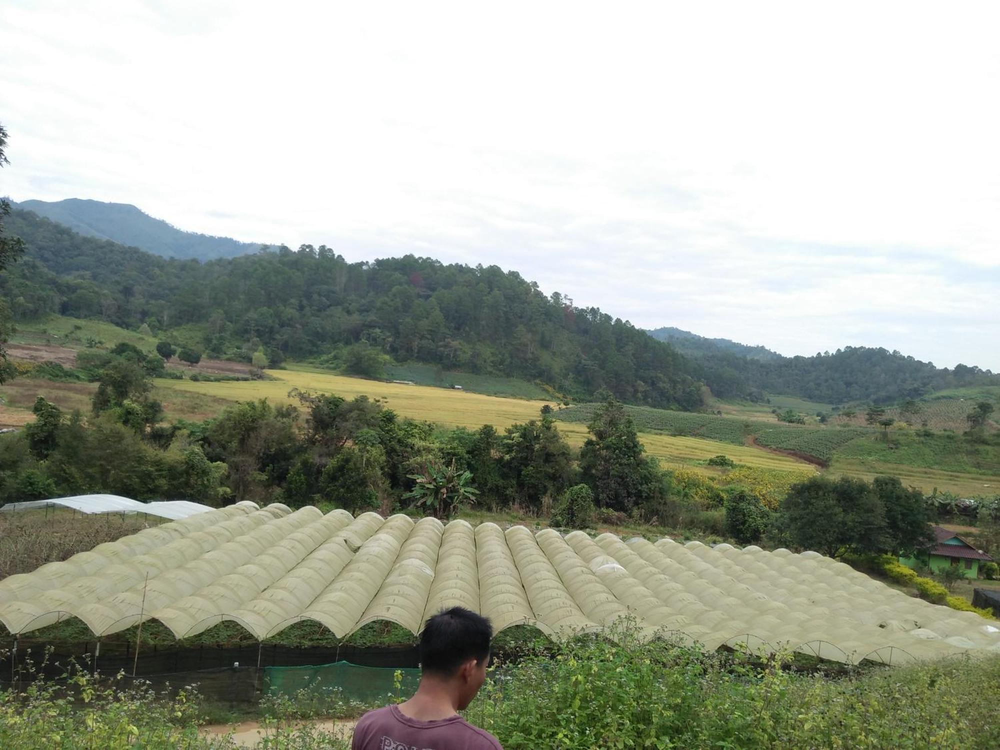 Mong Homestay Resort Pang Ung Exteriér fotografie