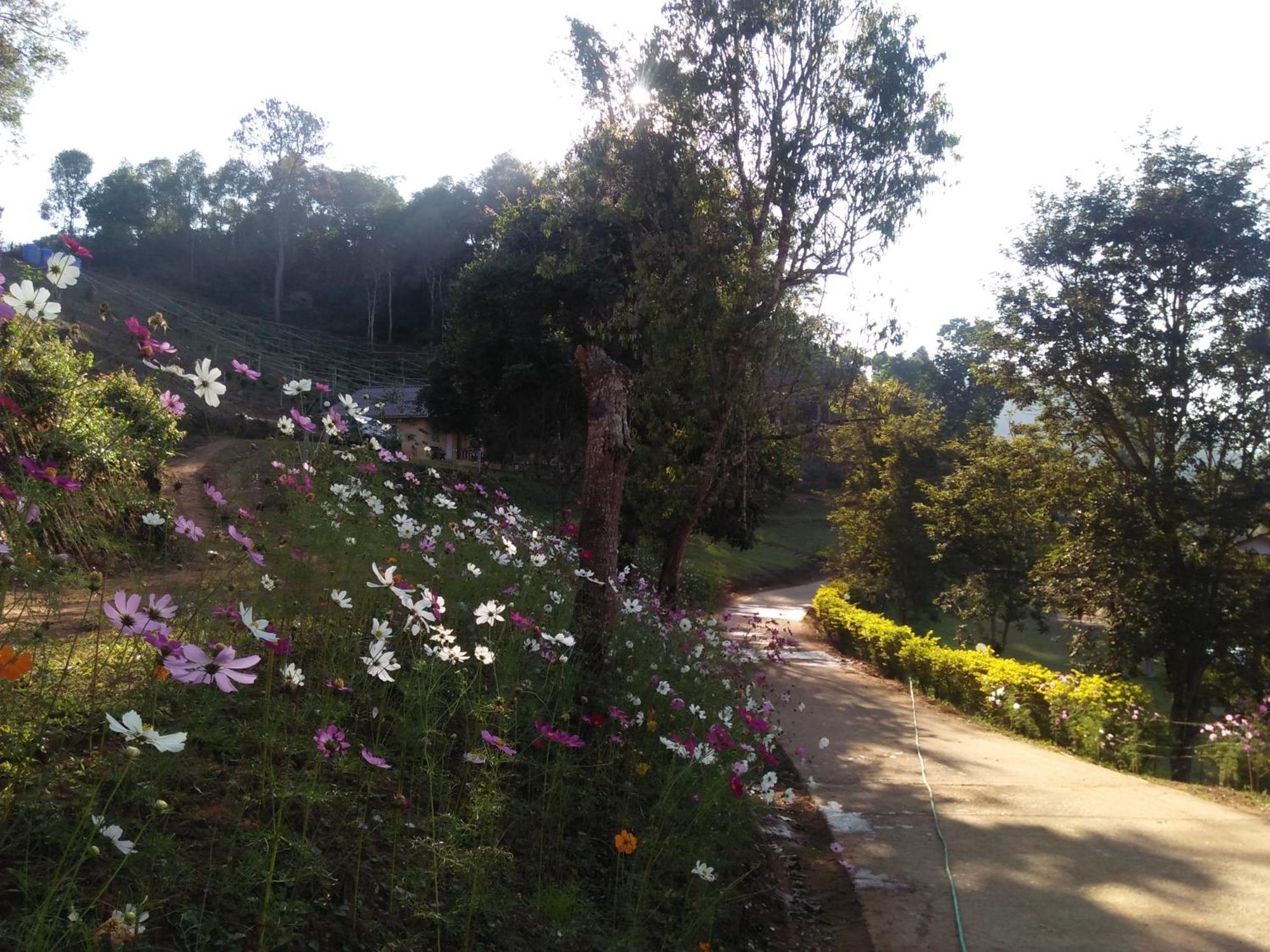 Mong Homestay Resort Pang Ung Exteriér fotografie